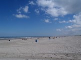 Dutch beaches are the cleanest in the world